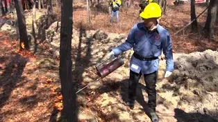 Forest Stewardship Task Force presents 16-point plan