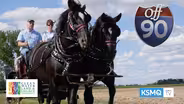 Horse'n Around, Dancing with the Steele County Stars, Dandelion Naturals