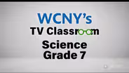 Science Grade 7:  115