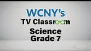 Science Grade 7:  115