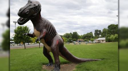 Video thumbnail: Access Northwest Granger Dinosaurs