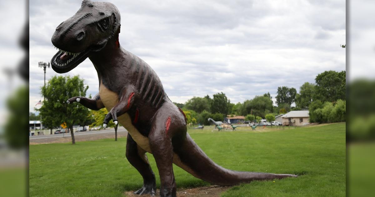 Access Northwest Granger Dinosaurs PBS