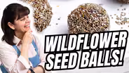Create Your Own Wildflower Seed Balls Easily!