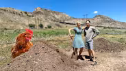 Composting with Chickens and Beer