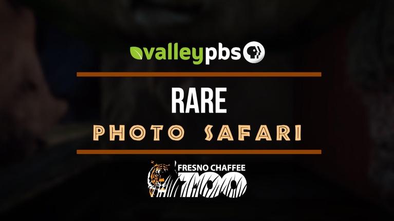 ValleyPBS Specials: Rare Photo Safari