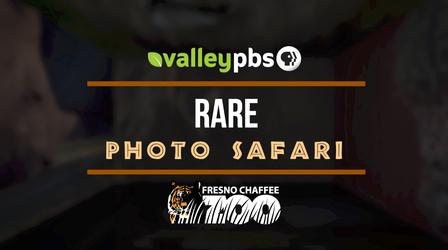 Video thumbnail: Valley PBS Specials Rare Photo Safari