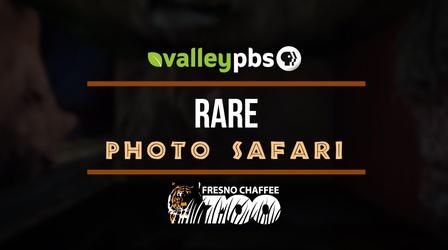 Video thumbnail: Valley PBS Specials Rare Photo Safari