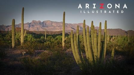 Video thumbnail: Arizona Illustrated El Charro, SEMA Lab