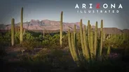 El Charro, SEMA Lab
