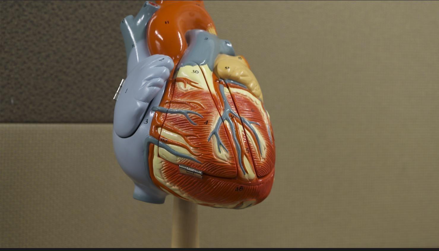 Preventing Heart Disease