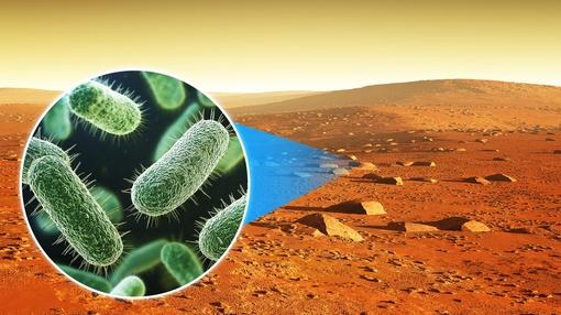 PBS Space Time : Martian Soil Is Deadly. And That's Why It Might Support Life