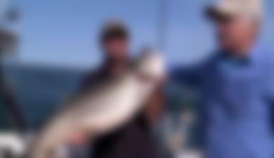 Fishing Behind The Lines