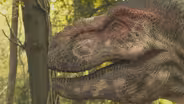 Dinosaur Apocalypse: The New Evidence Preview