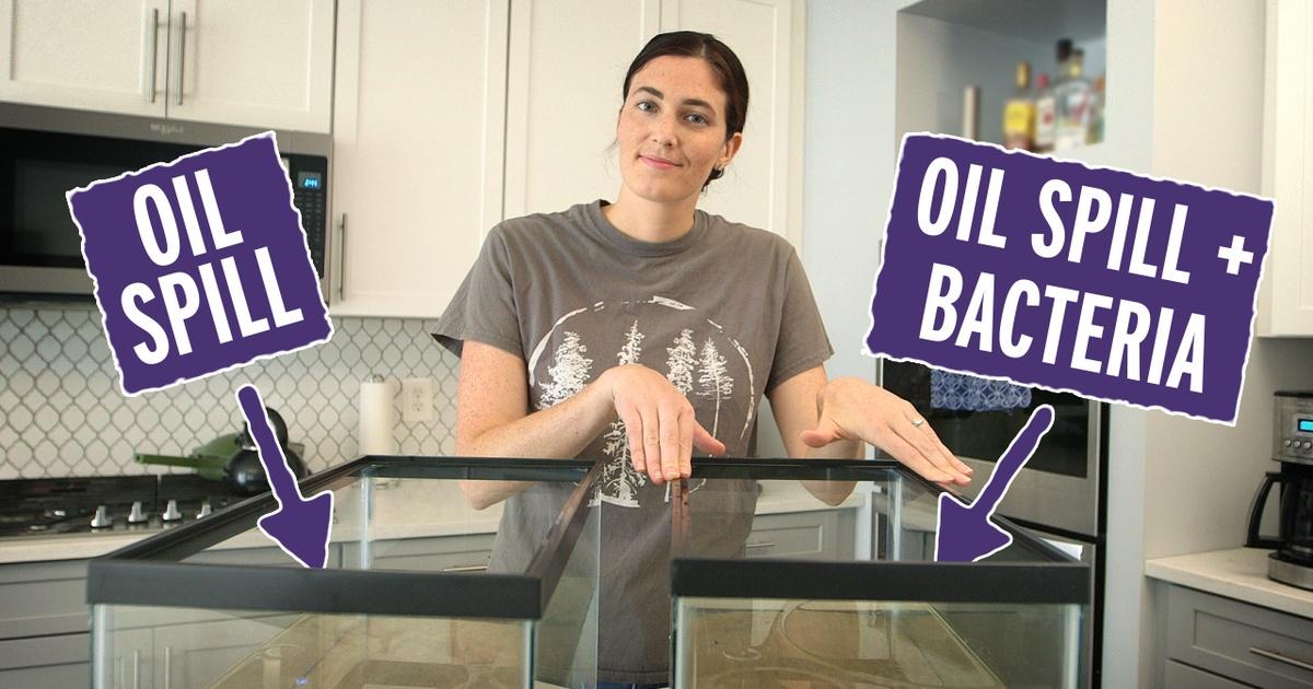 Reactions | I Created an Oil Spill in My House | Season 7 | Episode 21 | PBS