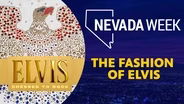 The Fashion of Elvis