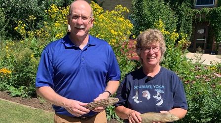 Video thumbnail: Prairie Yard & Garden Critters In the Garden