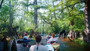 Preview | The Oldest Trees & Legacy of NC’s Life-Saving Stations