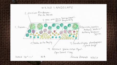 Video thumbnail: The Family Plot Planting Shrubs in Wet Heavy Soils