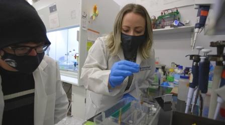 Video thumbnail: The Innovators UNC Pembroke's Research on Brain Injury & Memory Diseases