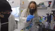 UNC Pembroke's Research on Brain Injury & Memory Diseases