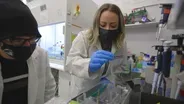 UNC Pembroke's Research on Brain Injury & Memory Diseases