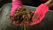 How to Amend Soil with Wood Chips