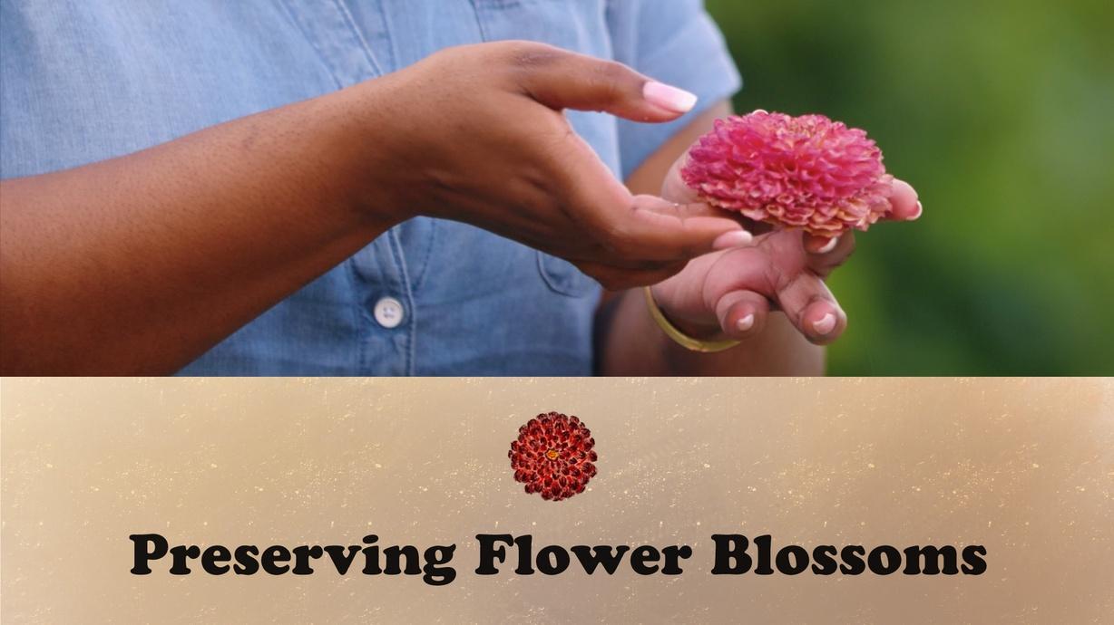 Preserving Flower Blossoms Watch on PBS Wisconsin