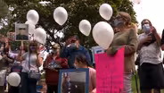 NJ and others 'collectively failed' in COVID-19 response