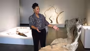 Gregg Museum of Art and Design