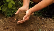 French Magnolia Cooks: Soil Secrets