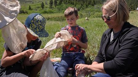 Video thumbnail: Nature WY Catching Insects