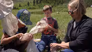 Catching Insects