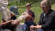 Catching Insects