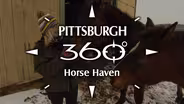 Horse Haven