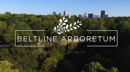 Video thumbnail: Georgia Outdoors Beltline Arboretum