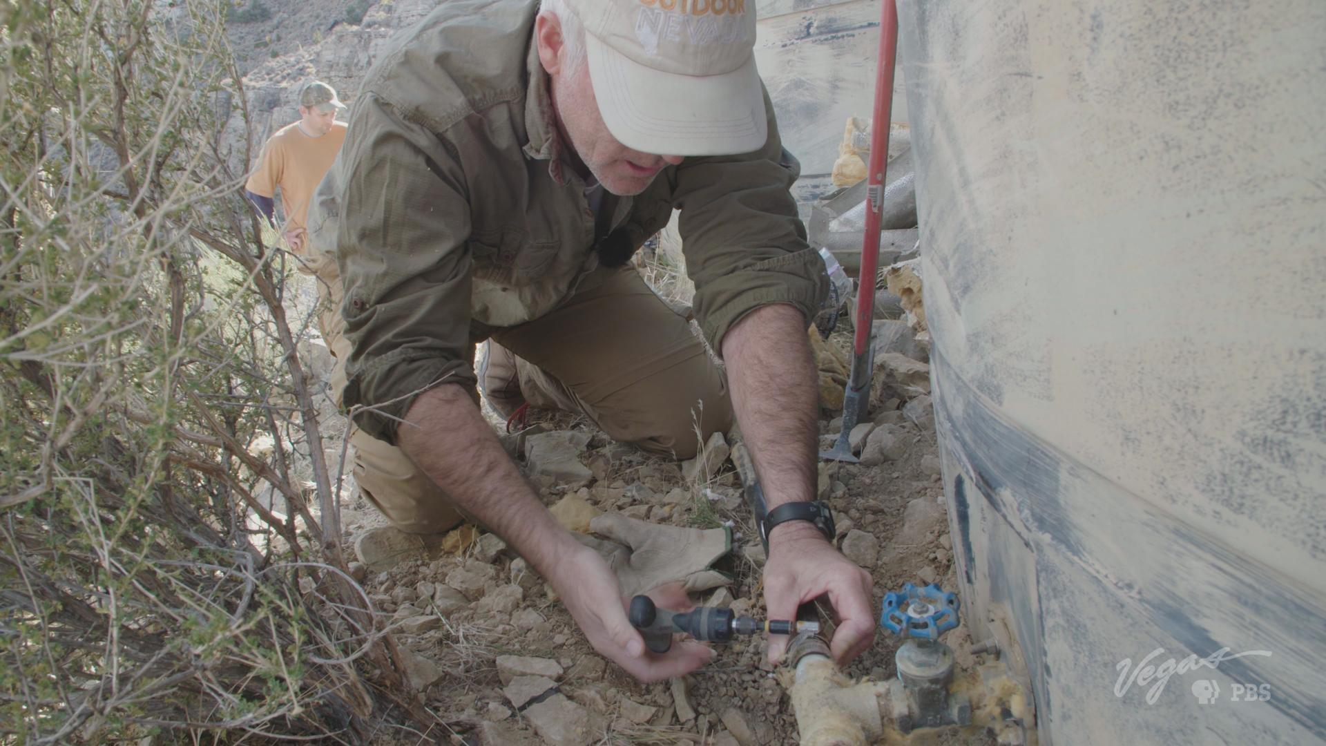 Restoring the Desert: Saving Nevada’s Bighorn Sheep