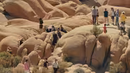What Joshua Tree's Social Media Presence Means for Tourism