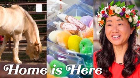 Video thumbnail: Home is Here Episode 105