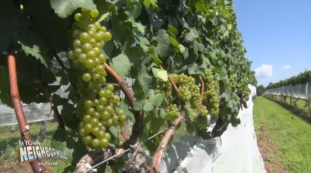Fish on the line and grapes on the vine draw tourists to NJ
