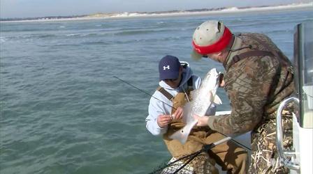 Video thumbnail: Carolina Outdoor Journal Surf Zone Red Drum