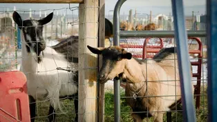 Bone Dry: Farming in extreme drought