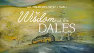 All Creatures Great and Small: The Wisdom of the Dales | Trailer