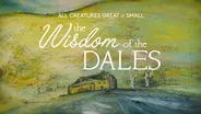 All Creatures Great and Small: The Wisdom of the Dales | Trailer