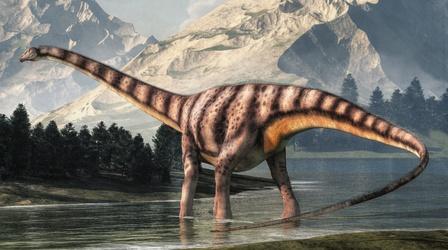 Video thumbnail: Eons A Short Tale About Diplodocus' Long Neck