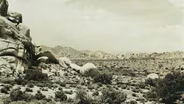 Desert Fantasy