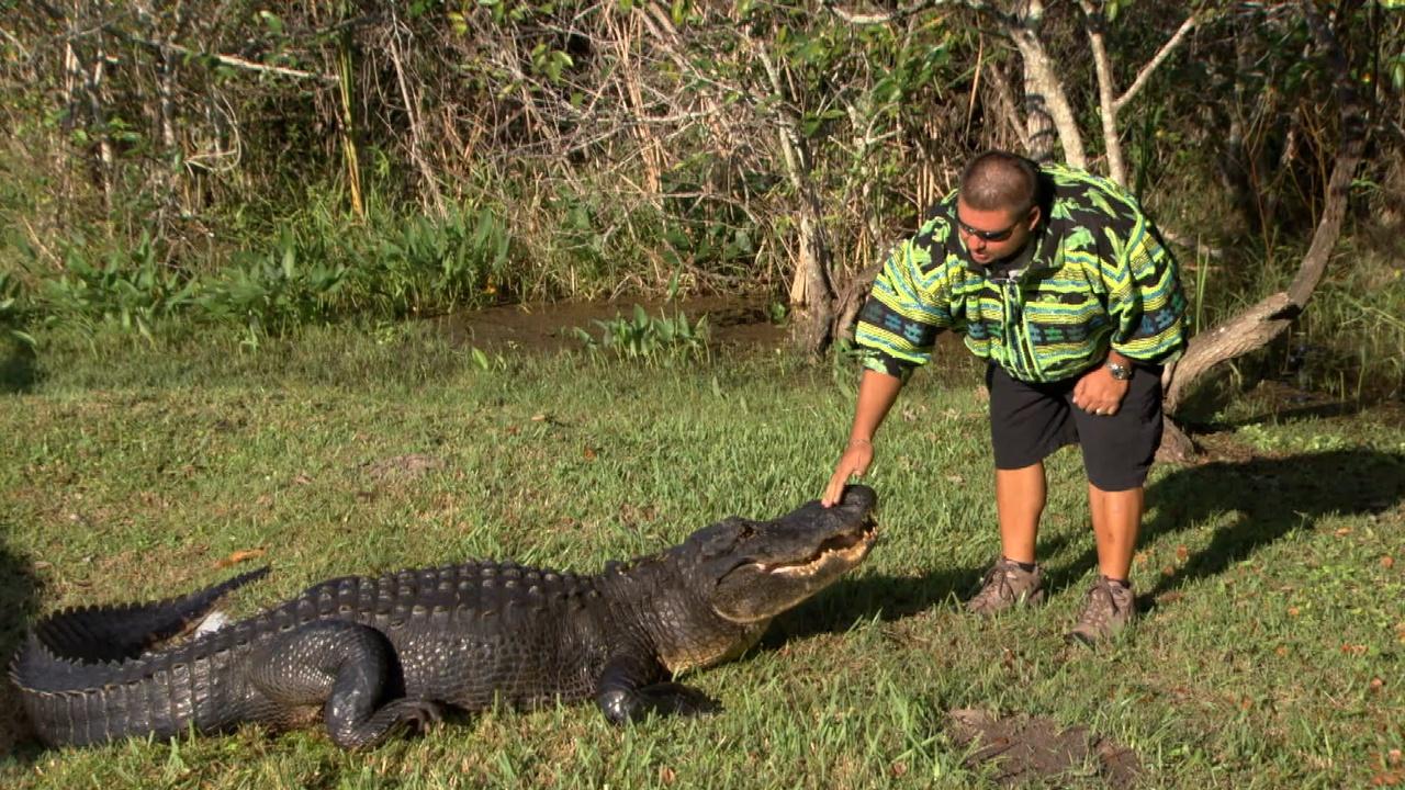Battleground Everglades | Glades Warriors