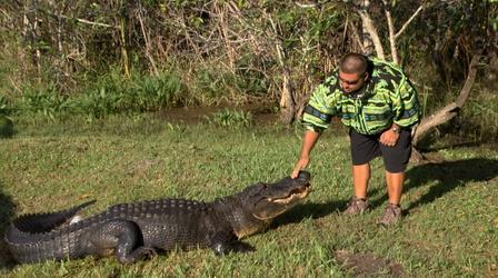 Video thumbnail: Battleground Everglades Glades Warriors