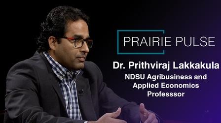 Video thumbnail: Prairie Pulse Prairie Pulse 2013: Dr. Prithviraj Lakkakula
