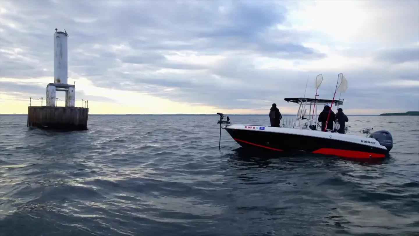 Lake Trout and Cisco, Pointing Labs, Recipe