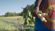 How Black Farmers are Already Responding to Climate Change